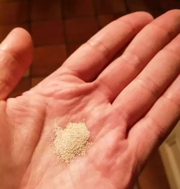 Baker’s percentage and pizza dough