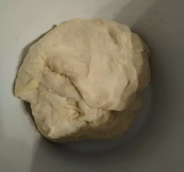No knead Neapolitan pizza dough ready to prove