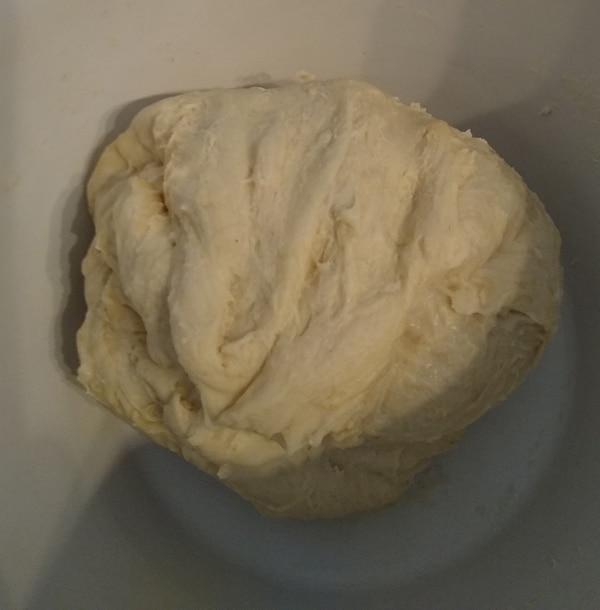 No knead Neapolitan pizza dough folded