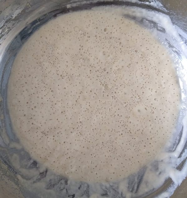 What is the best ratio for a sourdough starter?