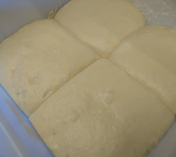 Over proofing dough