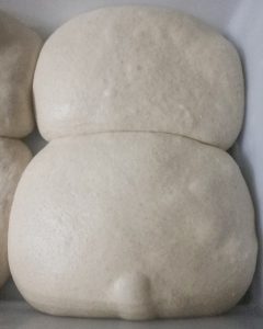 Freezing Pizza Dough | Easy Step by Step Instructions