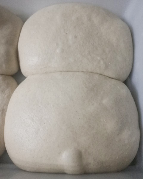Overproofing dough